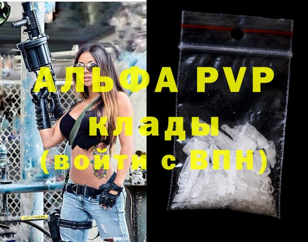 мдпв Инта
