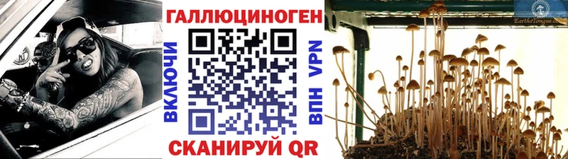 Псилоцибиновые грибы ЛСД  цены   Урень 